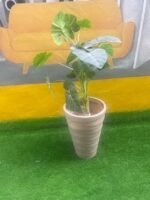 BARELY USED FLOWER WITH VASE (brown plastic) - Image 2