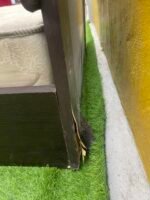Neatly Used 4by6 Bedframe With Mattress(see slide for defect) - Image 7