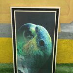 Brand New Multicolor Wall Frame- 25by41 inch