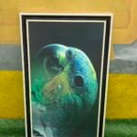 Brand New Multicolor Wall Frame- 25by41 inch