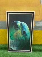 Brand New Multicolor Wall Frame- 25by41 inch