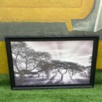Brand New Wall Frame (25by41inch))