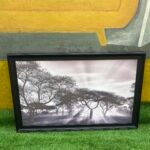 Brand New Wall Frame (25by41inch))