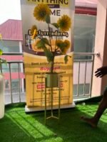 FLOWER PLANT (002) - Image 3