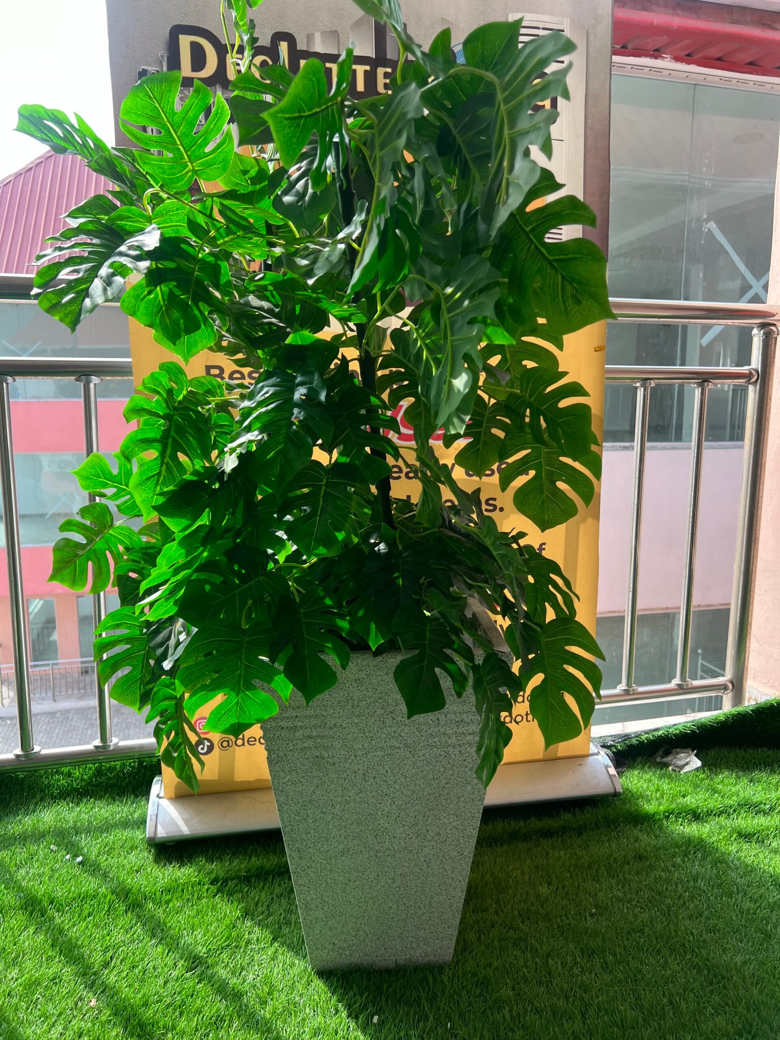 IMG_6841-scaled-1.jpeg FLOWER PLANT (004) - Image 1