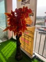 FLOWER PLANT (005) - Image 3