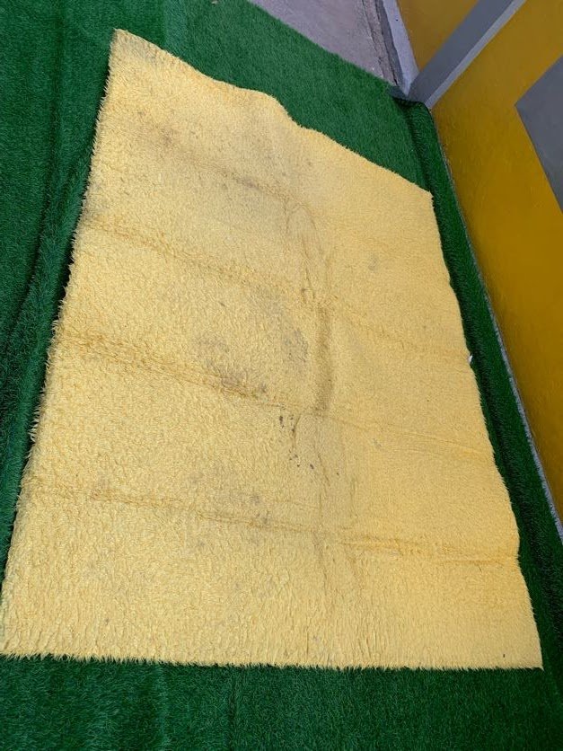 IMG_1431 Neatly Used 7by10 Fluffy Yellow Center Rug(021) - Image 1