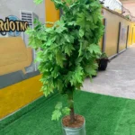 Brand New Imported Artificial Flower Plant
