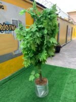Brand New Imported Artificial Flower Plant - Image 2