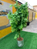 Brand New Imported Artificial Flower Plant