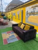 Barely Used 2 Seater Tufted Sofa With Pillow And Center Rug - Image 8