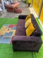Barely Used 2 Seater Tufted Sofa With Pillow And Center Rug - Image 12