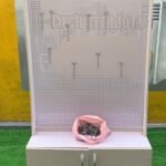 Barely Used White Jewelry Peg Shelf